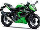 2014 Kawasaki Ninja 250RR Mono / SL 250 Ninja